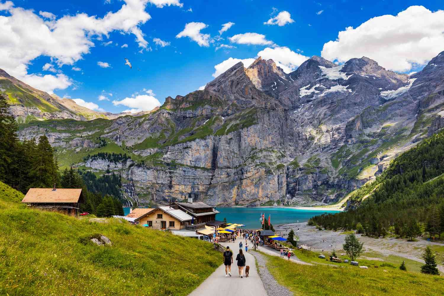Swiss Alps