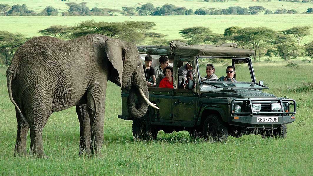 Tsavo & Amboseli Budget Safari