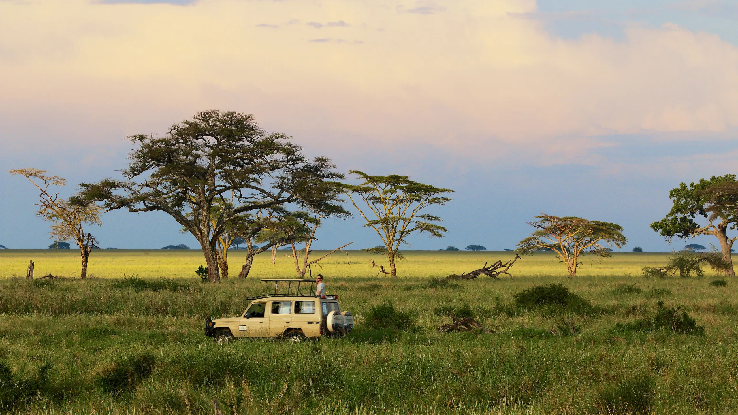 Maasai Mara & Amboseli Budget Safari