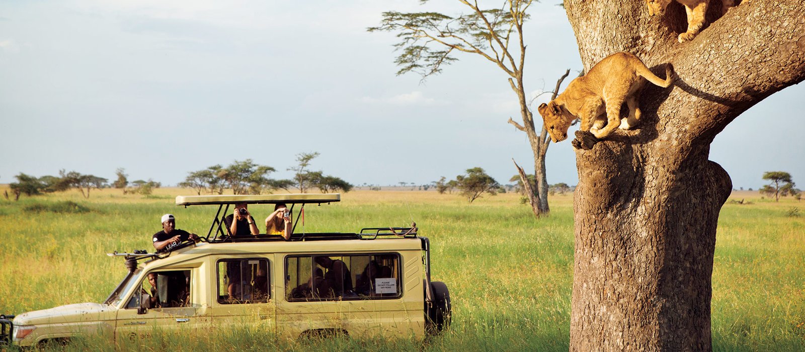 Mara, Amboseli & Diani Beach