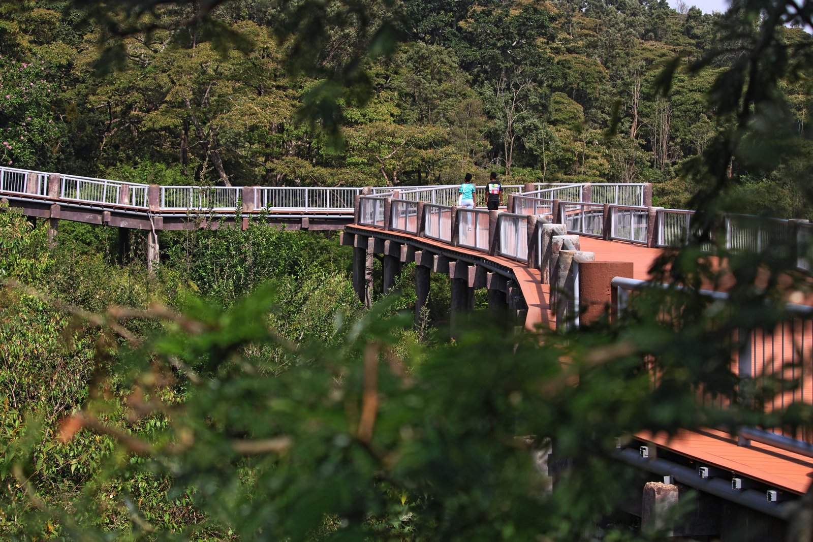 Short Safari & Zanzibar: Manyara, Ngorongoro & Beach