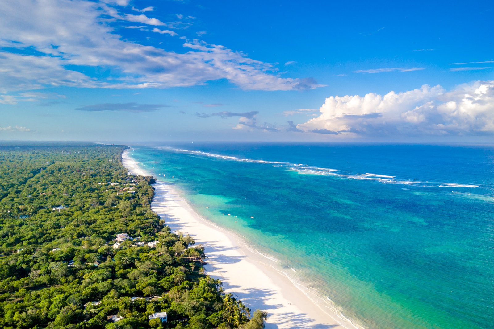 Diani Luxury Beach Stay