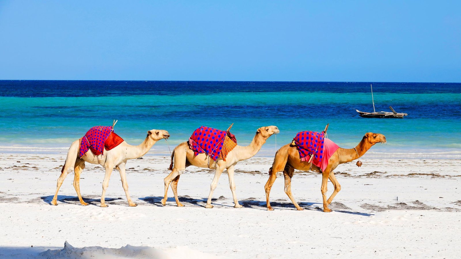 Diani Beach Escape