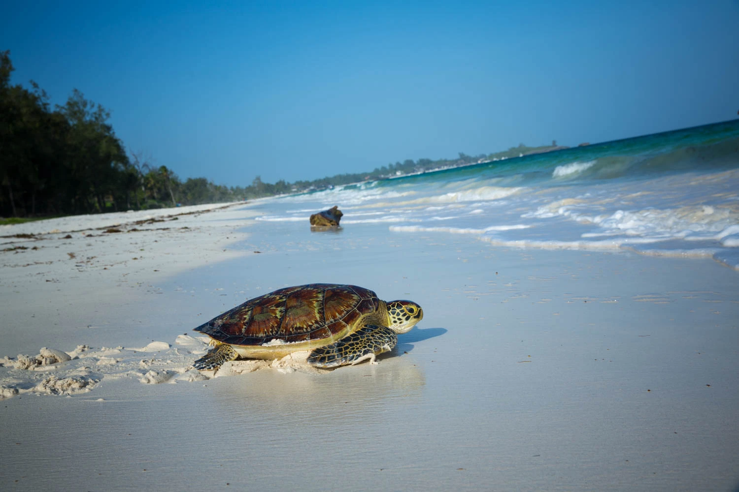 Watamu Weekend Escape