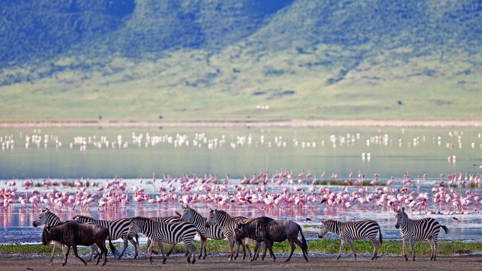 Lake Nakuru