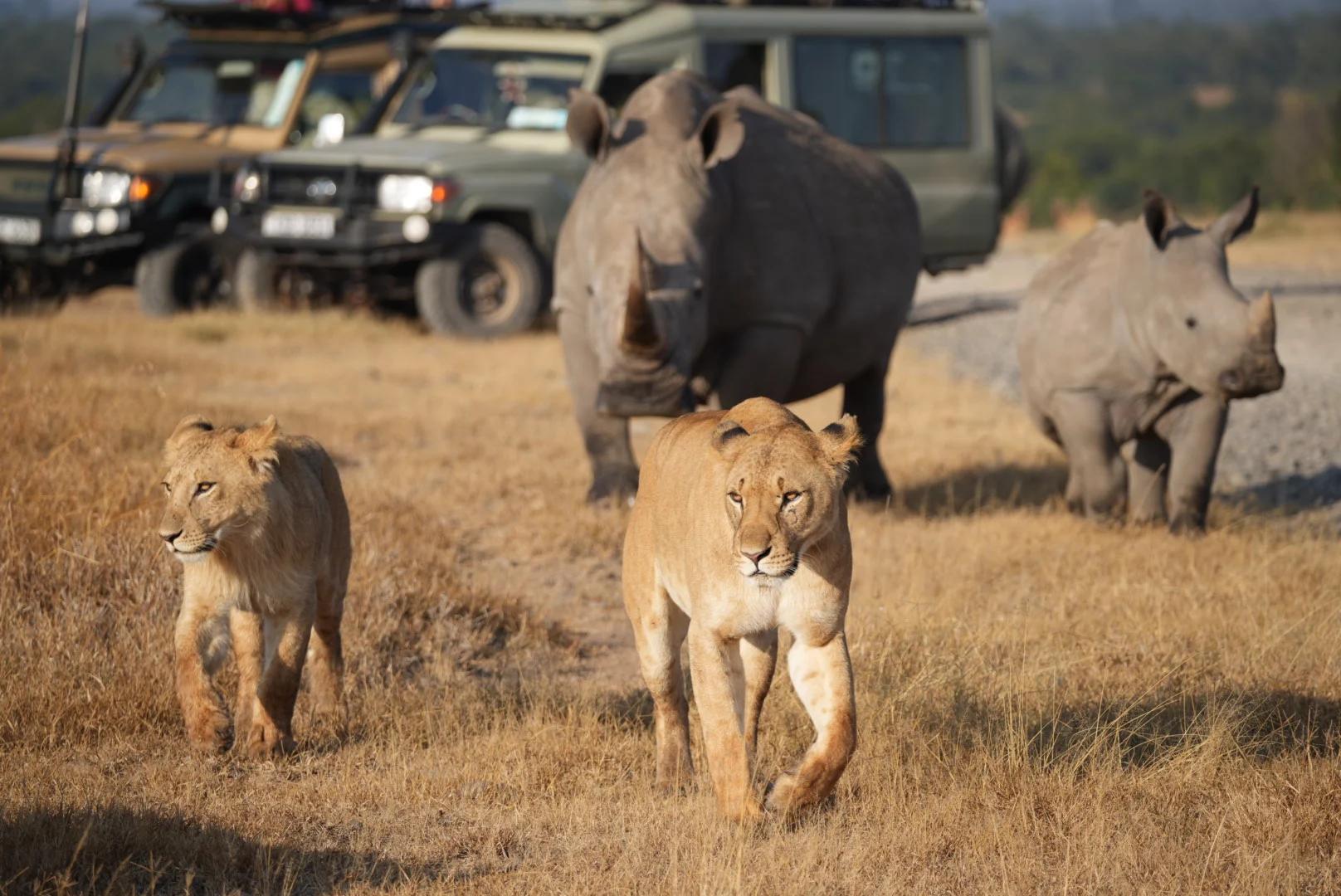 Tanzania Group Safari: Tarangire, Serengeti & Ngorongoro